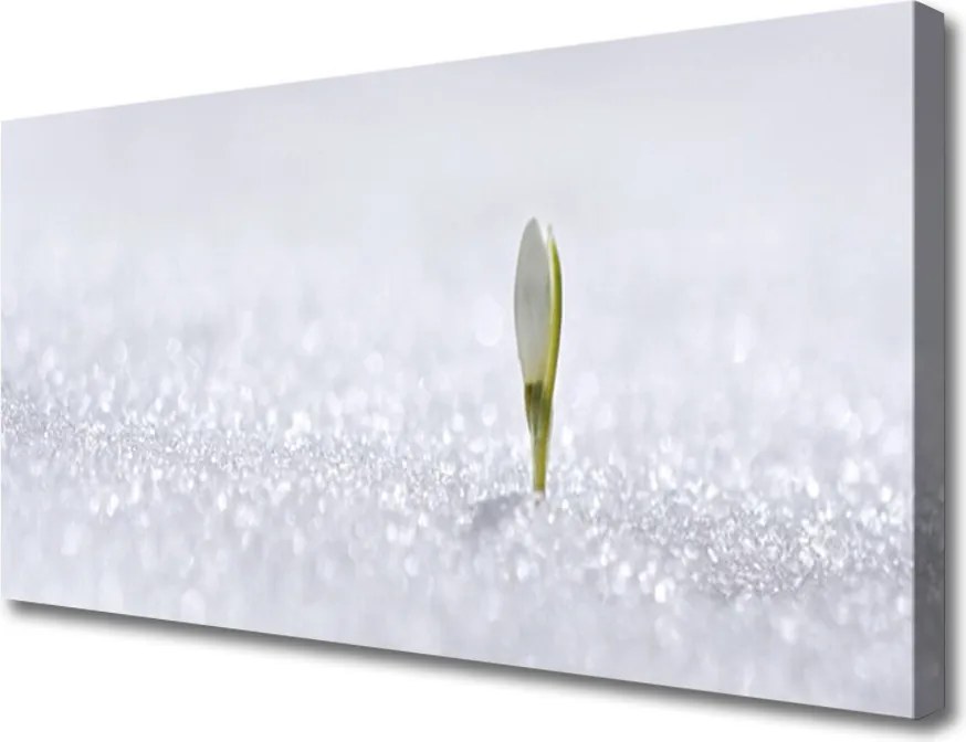 Zdjęcie na płótnie Kaskada nad Błękitną Zatoką