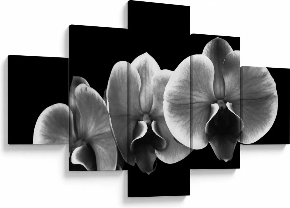 Obraz kwiatu orchidei (125x70 cm)