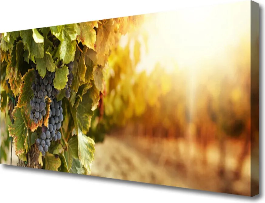 Obraz drukowany na płótnie Winna Winorośl w Detalu