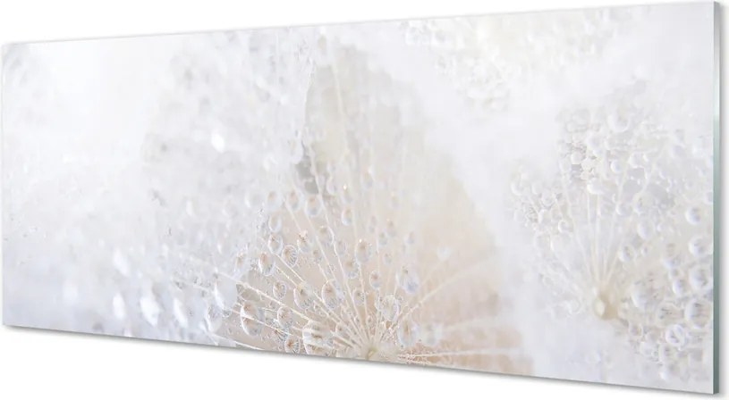 Szklany Panel Dmuchawiec i Rosa w Abstrakcji