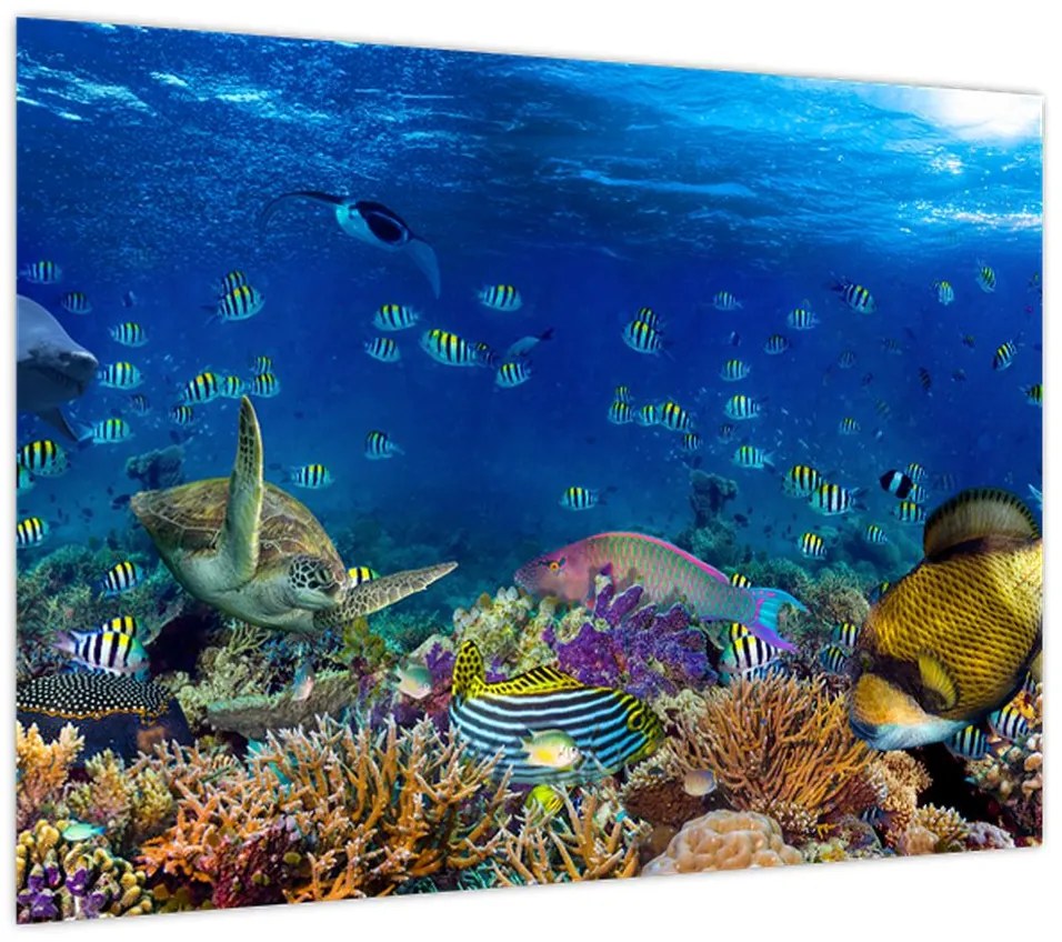 Obraz - Ocean (70x50 cm)