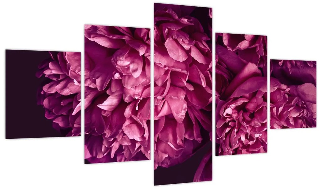 Obraz - Kwiaty piwonii (125x70 cm)