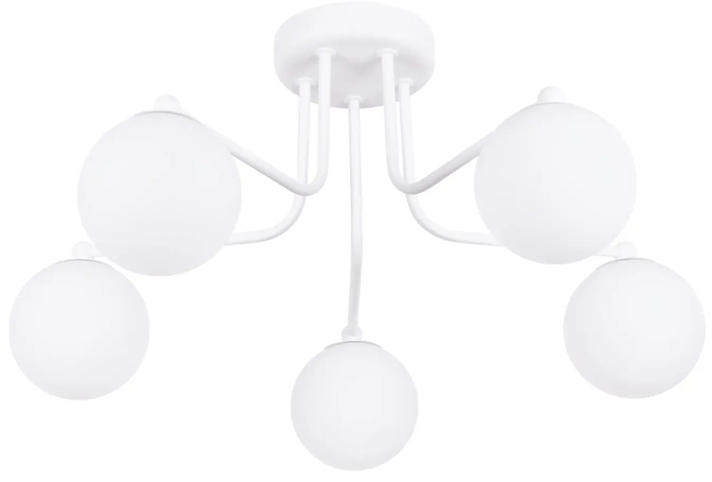 Żyrandol ASTRAL 5 biały SOLLUX LIGHTING