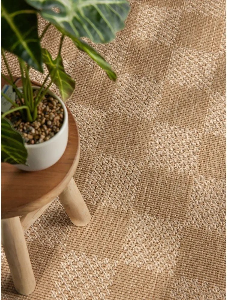 Kremowo-naturalny chodnik odpowiedni na zewnątrz 80x200 cm Haringey Dorothy – Ted Baker