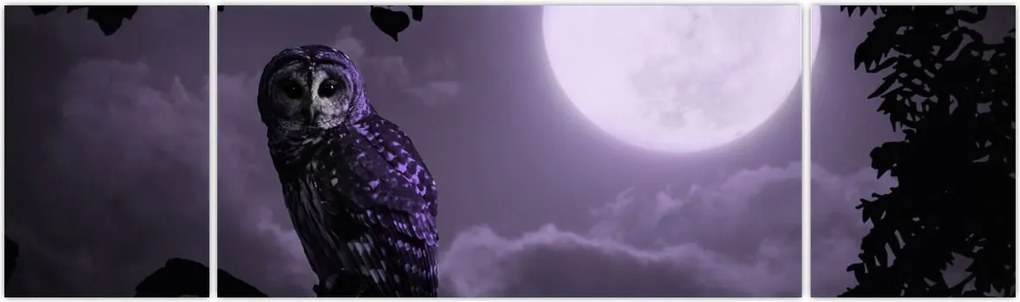Obraz - Nocna sowa, fioletowy (170x50 cm)