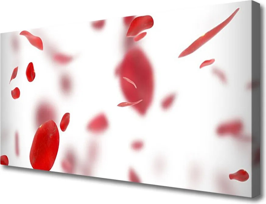 Obraz na płótnie Delikatność Płatków Róży