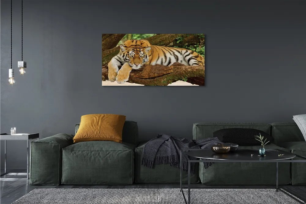 Obraz canvas na ścianę Tygrys na Drzewie
