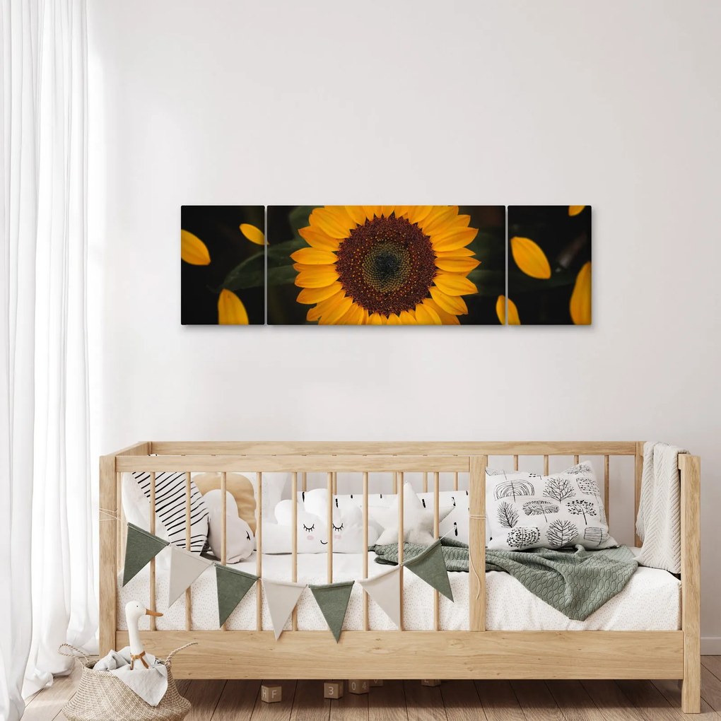 Obraz  - Słonecznik i płatki kwiatów (170x50 cm)