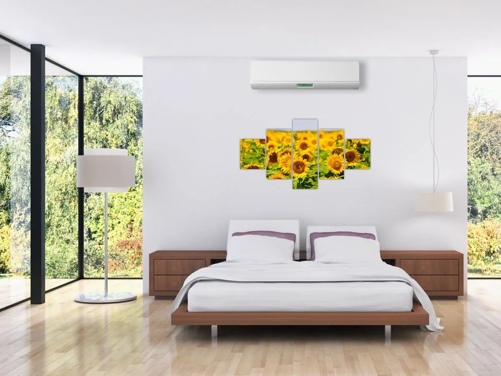 Obraz - Słoneczniki (125x70 cm)