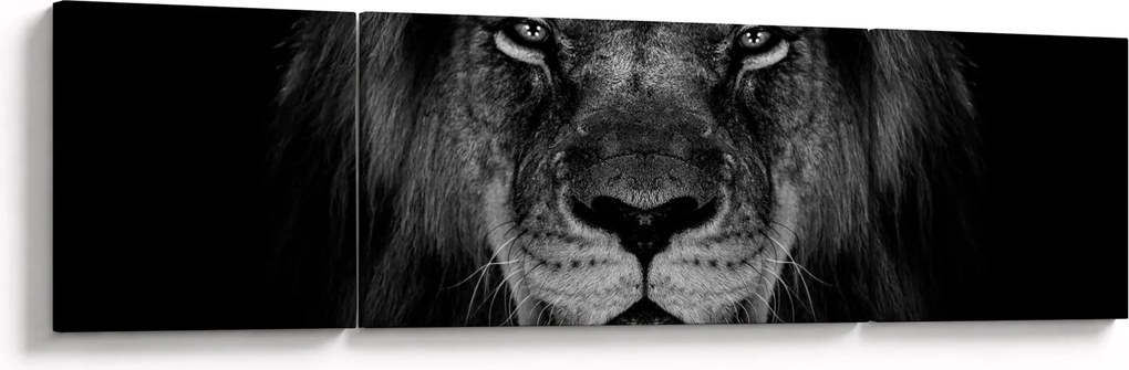 Obraz - lew i jego majestatyczność (170x50 cm)