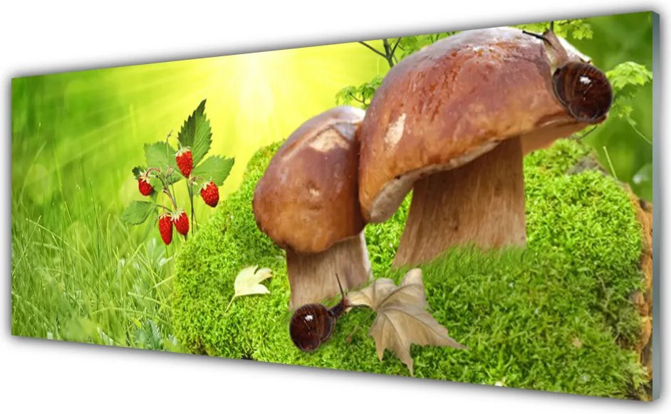 Panel Kuchenny Dary Lasu: Grzyby I Poziomki