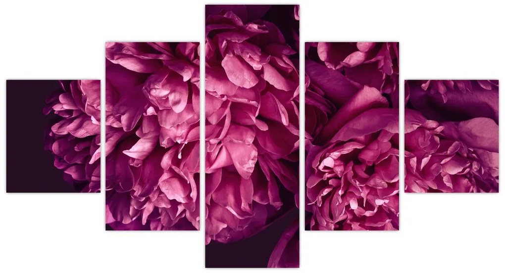 Obraz - Kwiaty piwonii (125x70 cm)