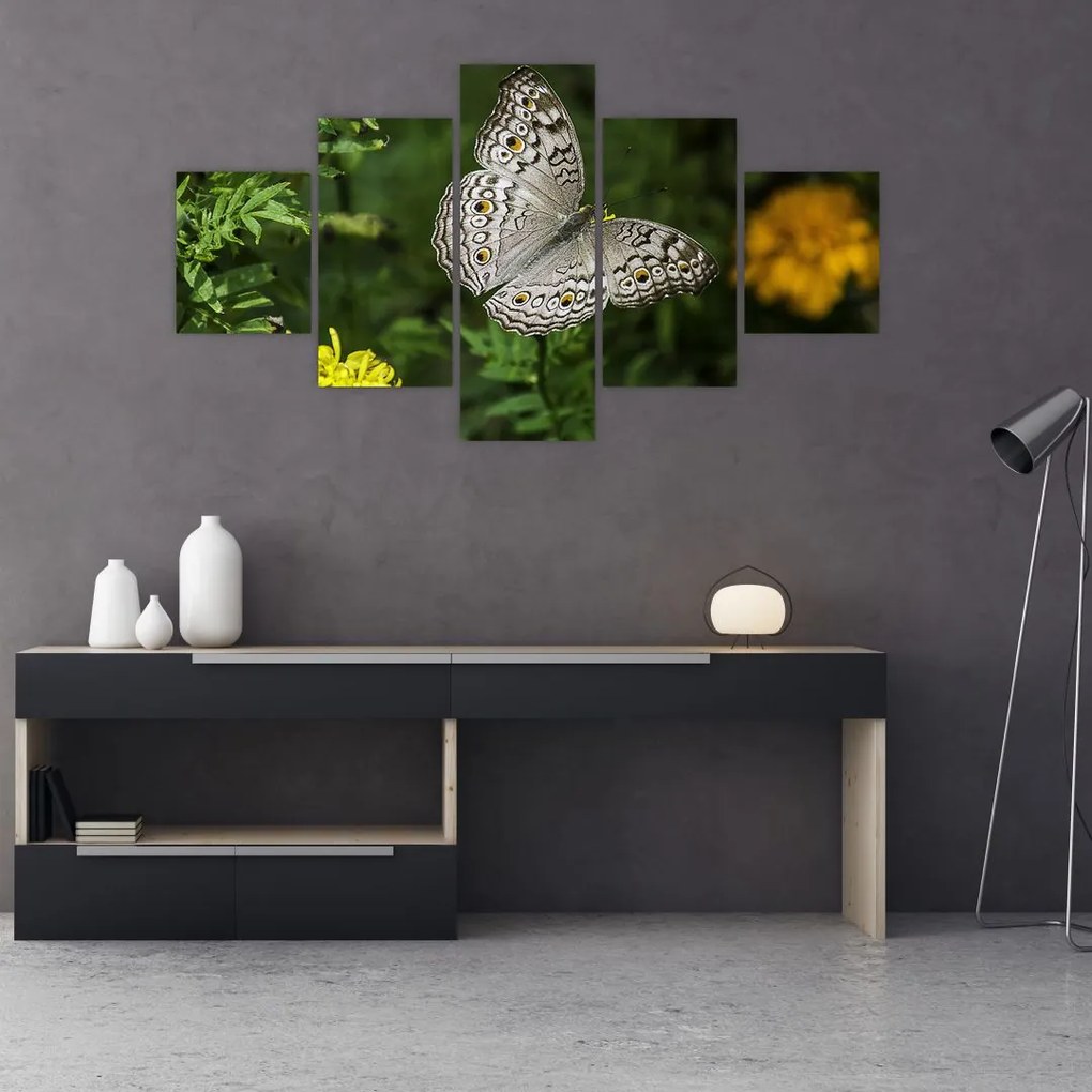 Obraz - biały motyl (125x70 cm)