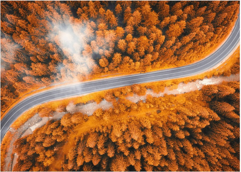 Obraz - Górska droga (70x50 cm)