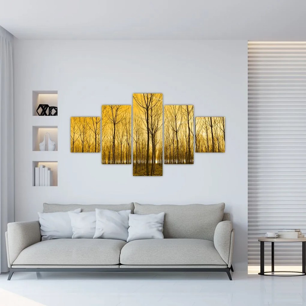 Obraz lasu o zachodzie słońca (125x70 cm)