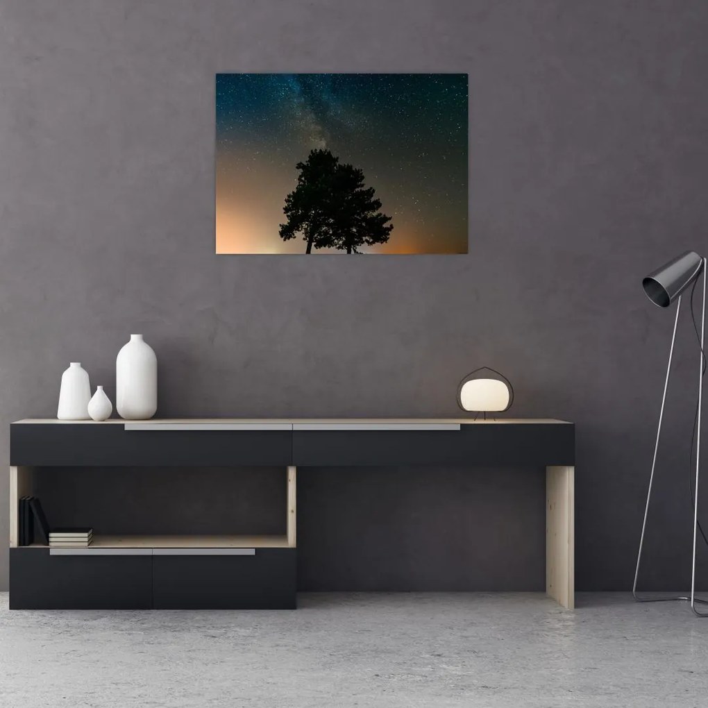 Obraz nocnego nieba z drzewami (70x50 cm)
