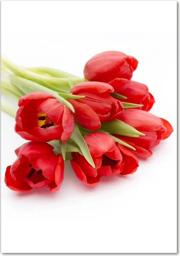Obraz zdjęcie na ścianę akryl pionowy Czerwone tulipany