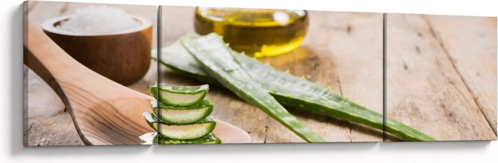 Obraz - Aloes (170x50 cm)