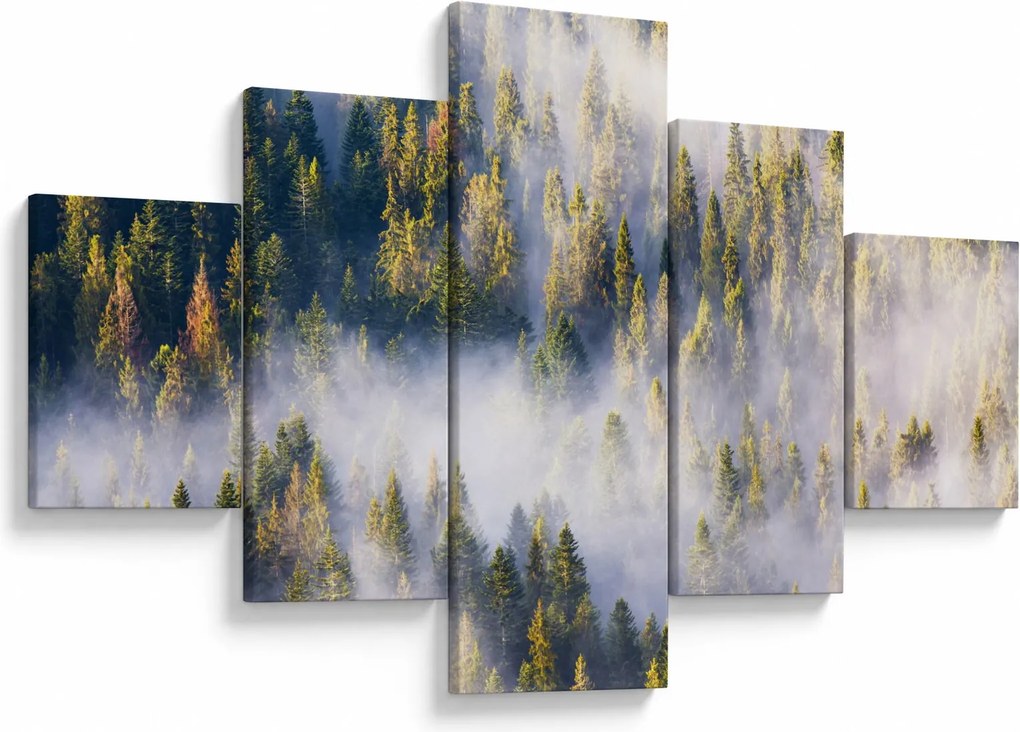 Obraz drzew we mgle (125x70 cm)