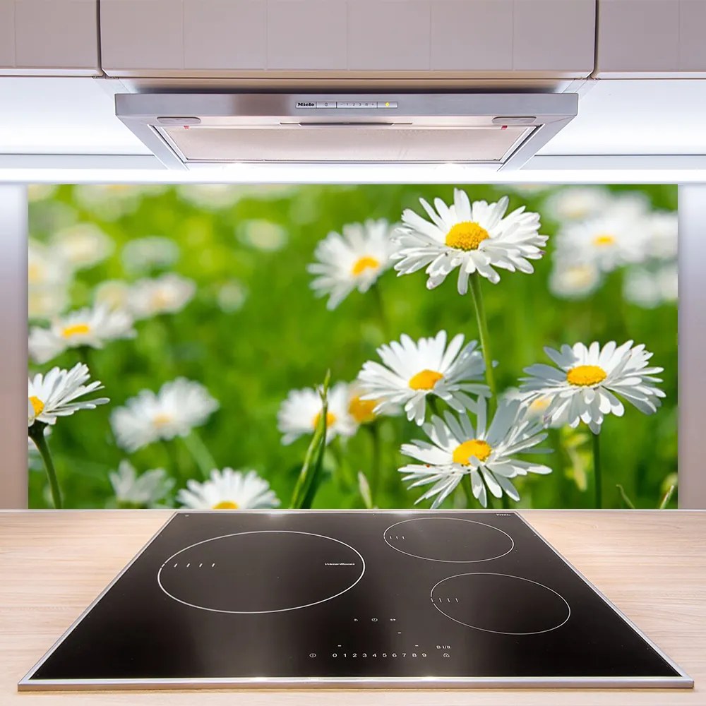 Panel Szklany Skromność Polnej Stokrotki