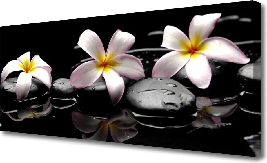 Zdjęcie na płótnie Kwiat na Gładkich Kamieniach