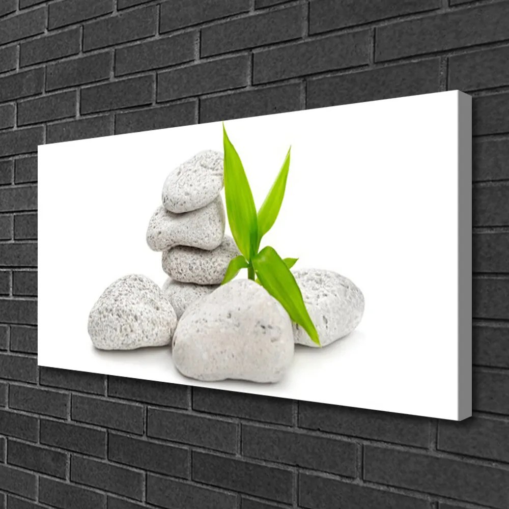 Fotoobraz na płótnie Harmonia Kamieni Rzecznych