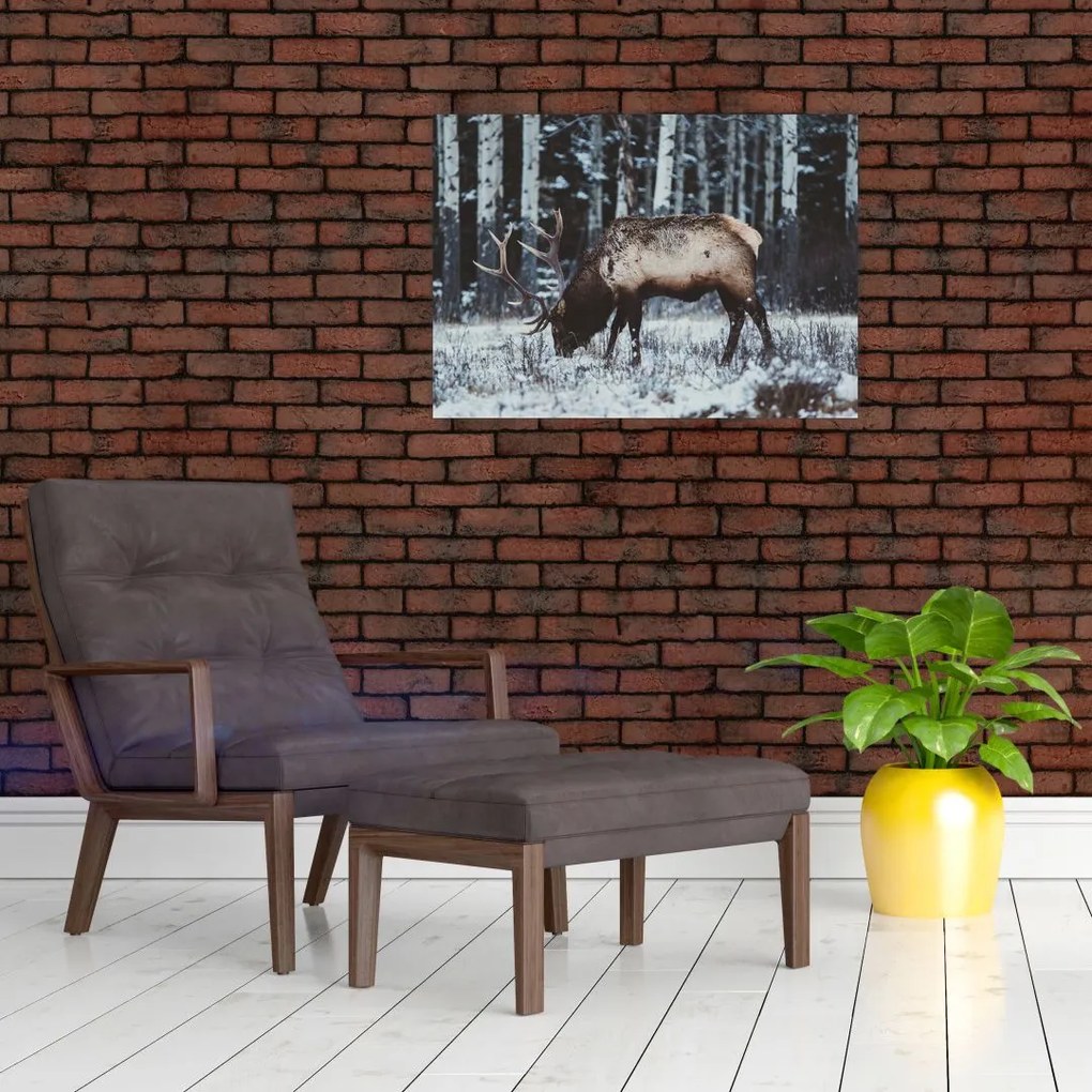 Obraz na szkle - jeleń zimą (70x50 cm)