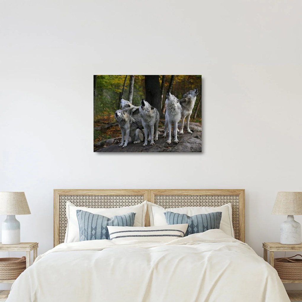 Obraz na szkle - Wilki na skale (70x50 cm)