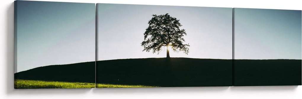 Obraz natury - drzewo (170x50 cm)