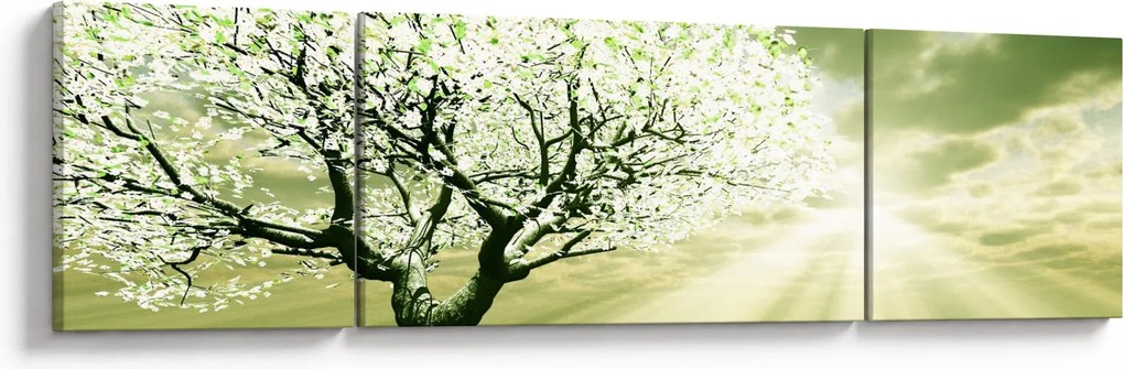 Obraz drzewa na łące (170x50 cm)