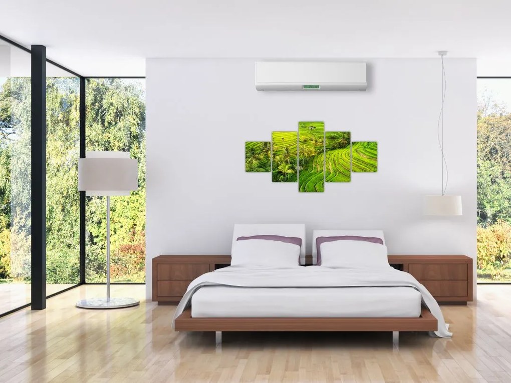 Obraz - Pola ryżowe (125x70 cm)