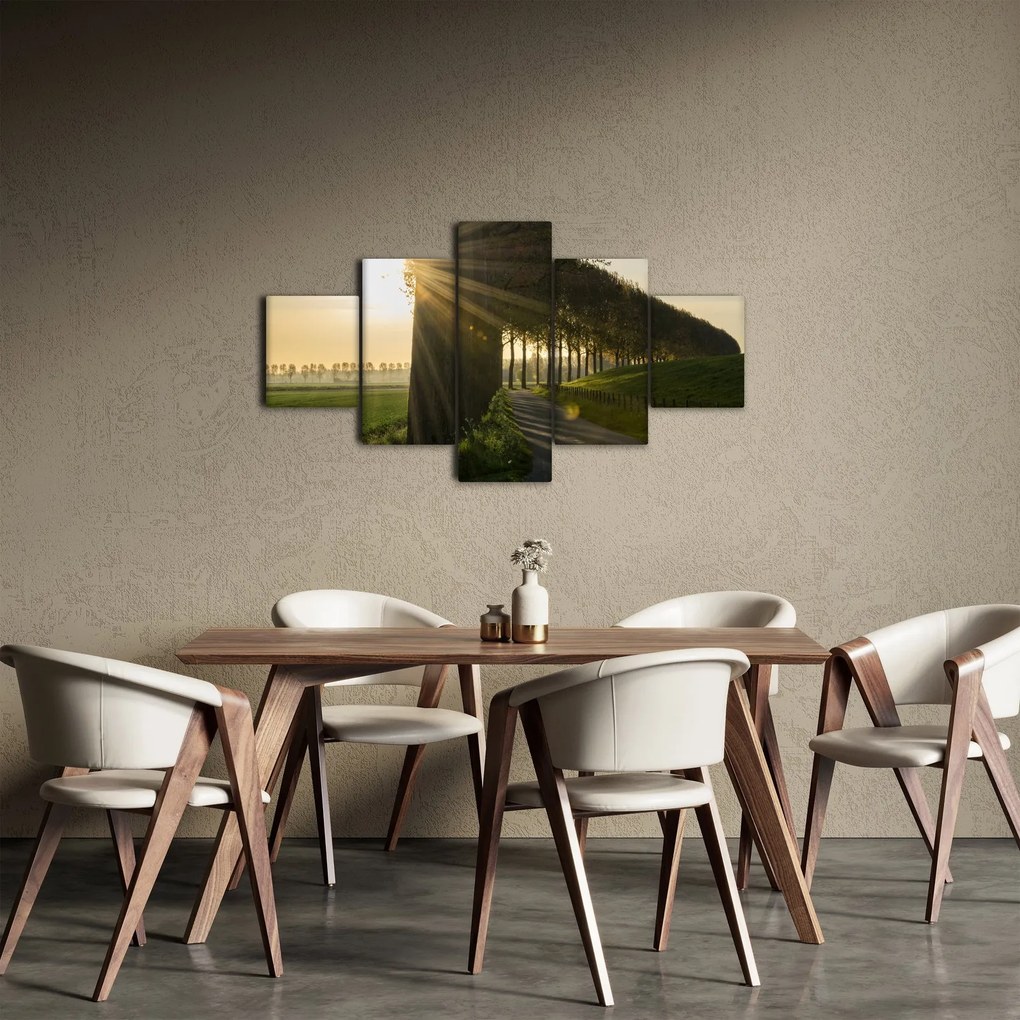 Obraz alei (125x70 cm)