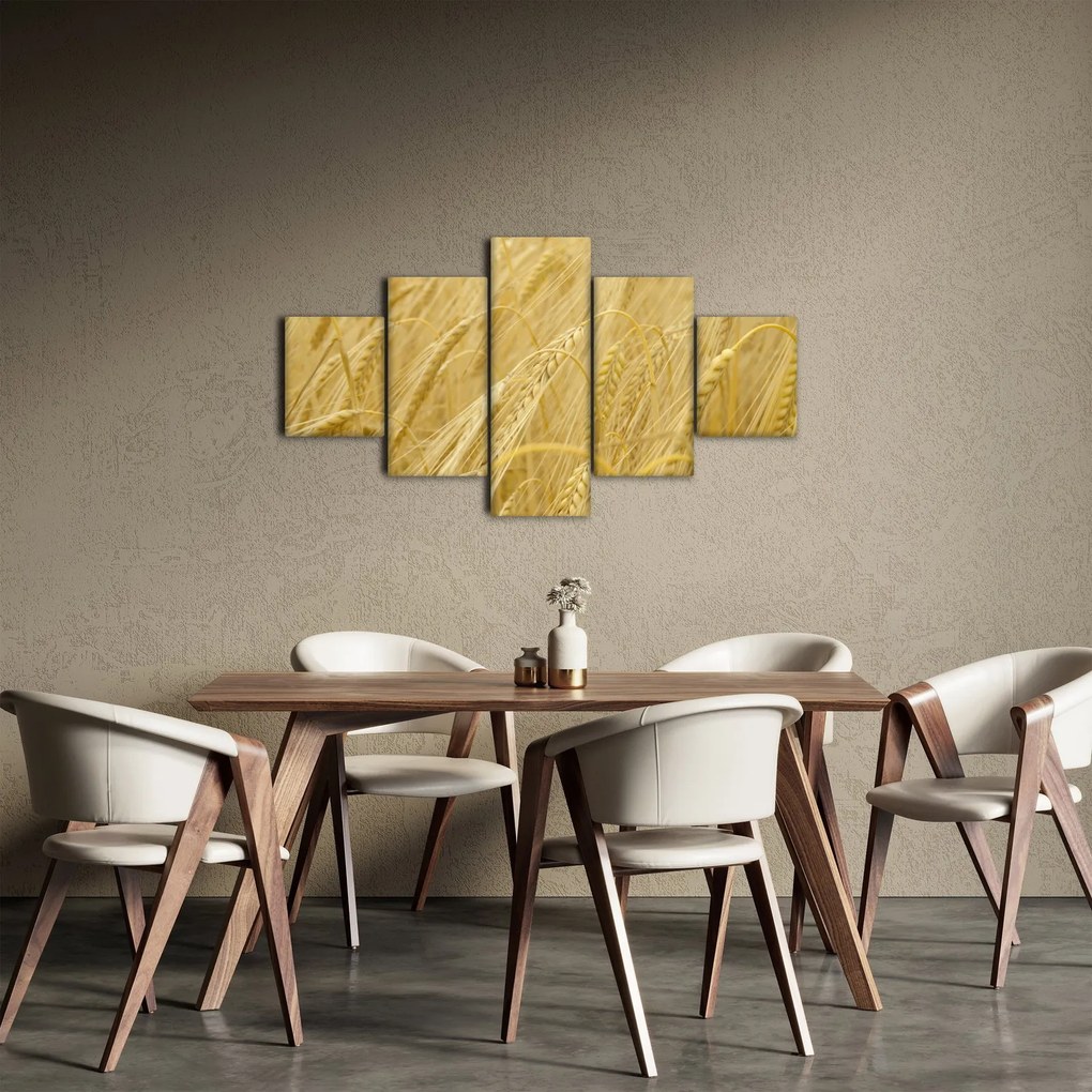 Obraz - Jęczmień (125x70 cm)
