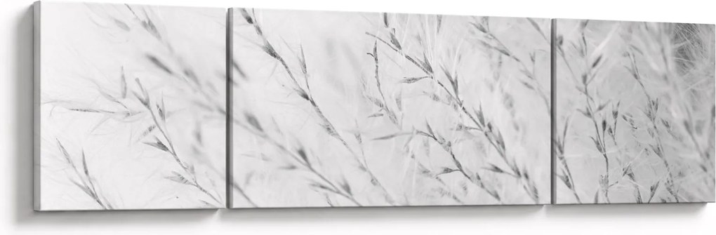 Obraz - Trawa pampasowa N⁰2 (170x50 cm)