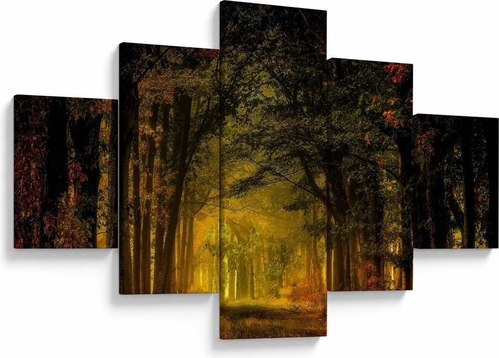 Obraz lasu (125x70 cm)