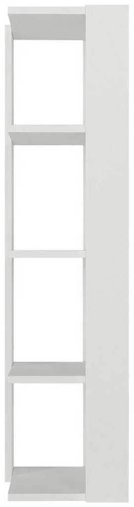 Biblioteczka Venita White
