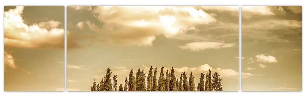 Obraz leśnej łąki (170x50 cm)