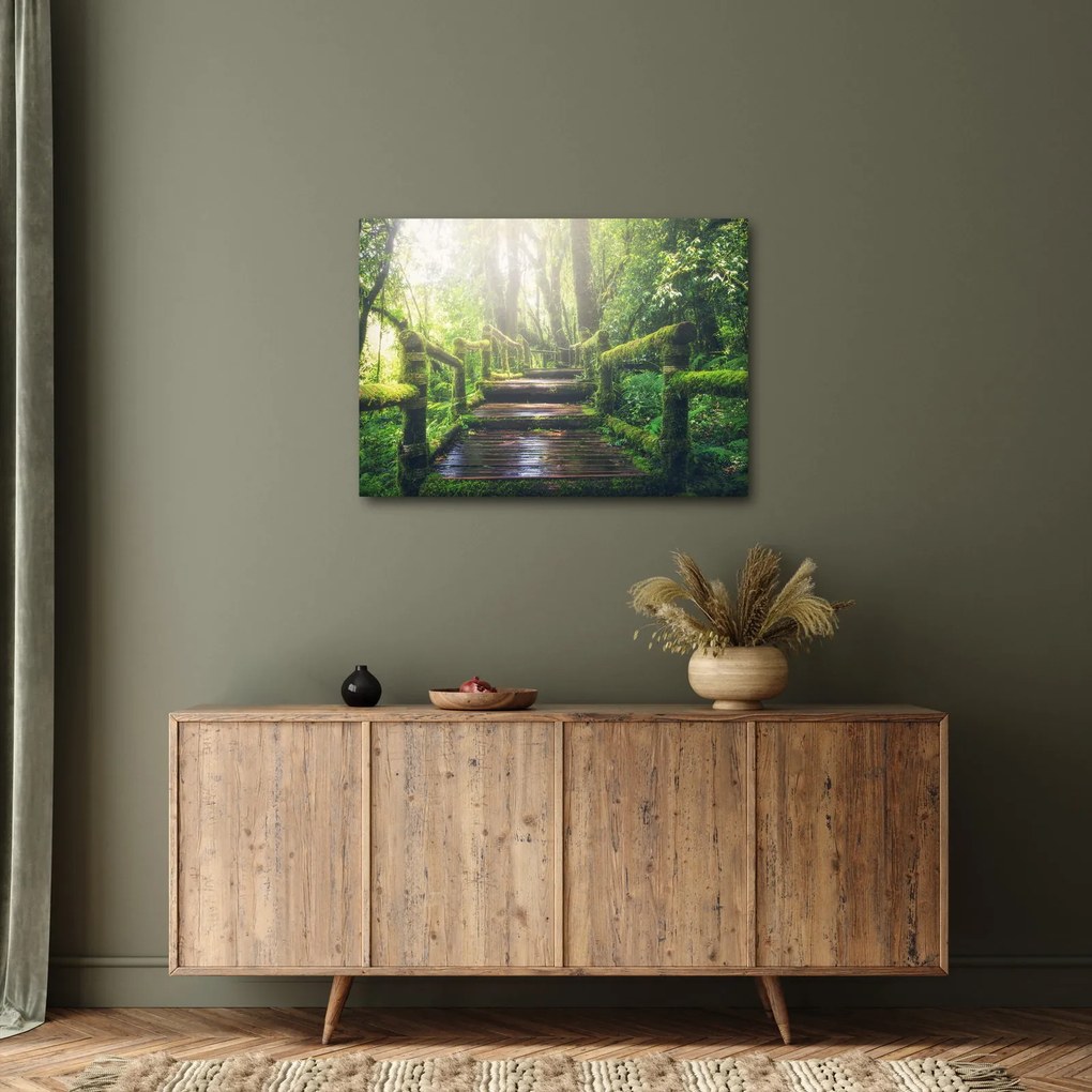 Obraz - drewniane schody w lesie (70x50 cm)