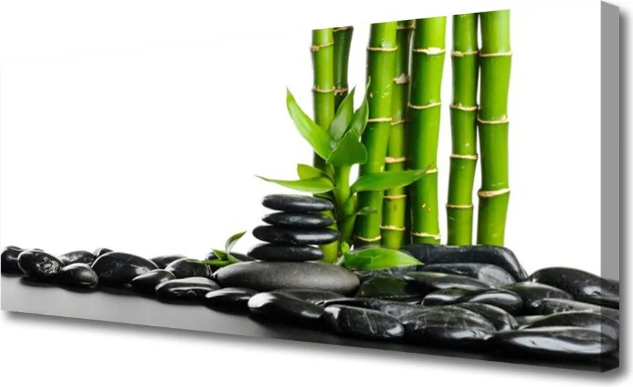 Obraz na płótnie Artystyczne Pędy Bambusa