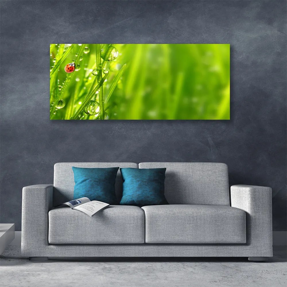 Obraz canvas Biedronka na Zielonym Źdźble