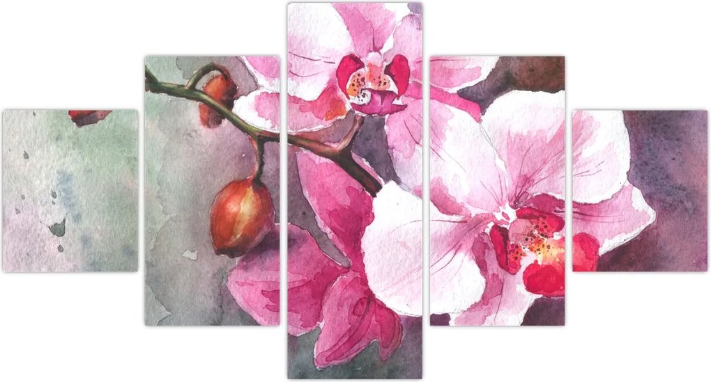 Obraz - Orchidee, akwarela (125x70 cm)