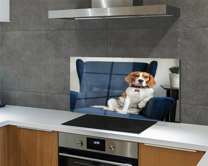 Panel Kuchenny Szklany Spokojny Siedzący Pupil