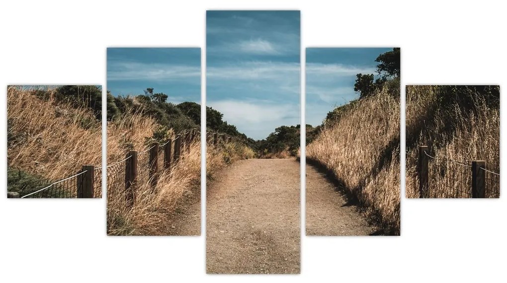 Obraz - Na szlaku (125x70 cm)