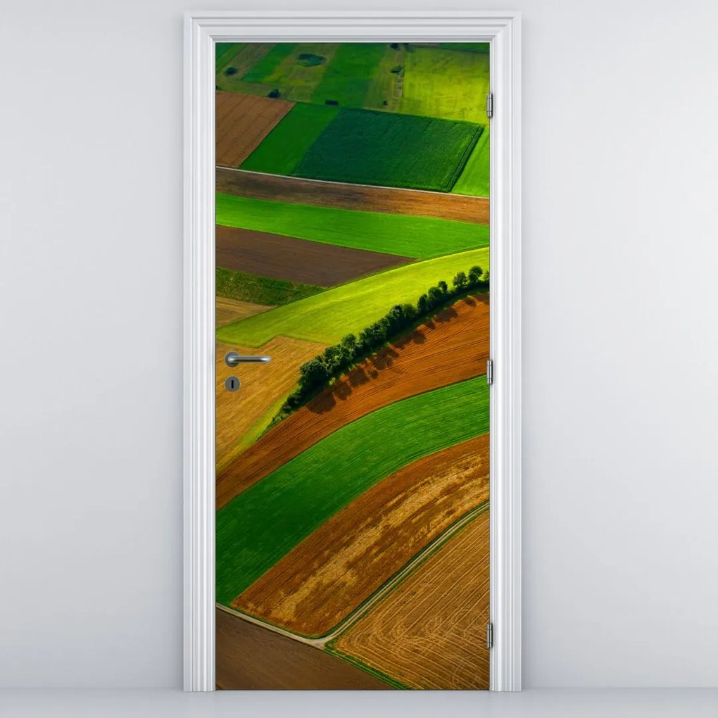 Fototapeta na drzwi - Pole (95x205cm)