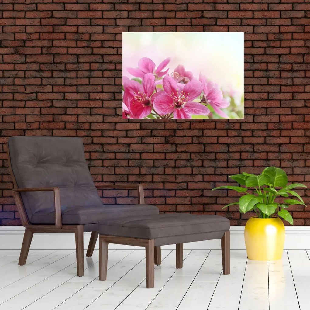 Obraz - Różowe kwiaty (70x50 cm)