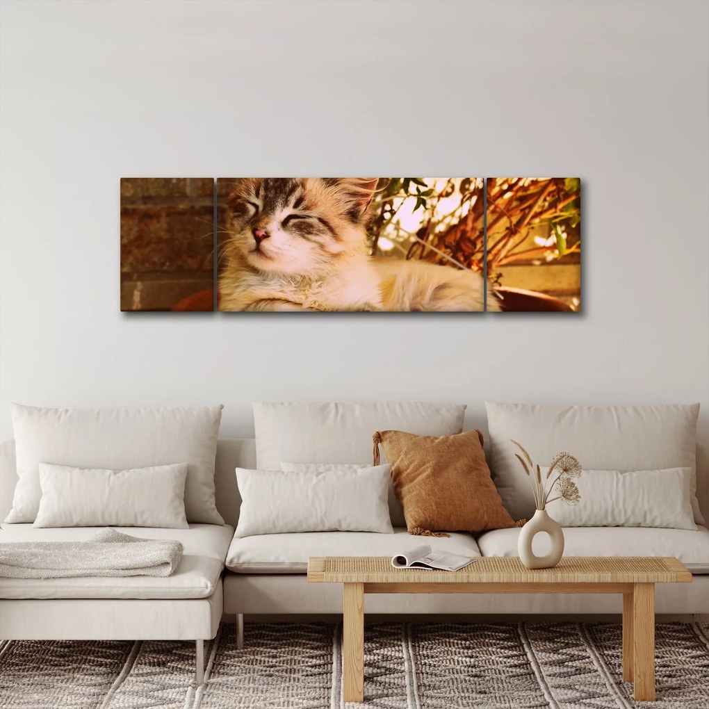 Obraz kota w doniczce (170x50 cm)