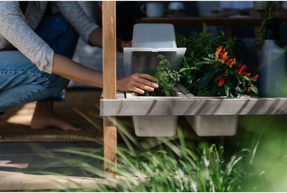 Podwyższona grządka – Plastia