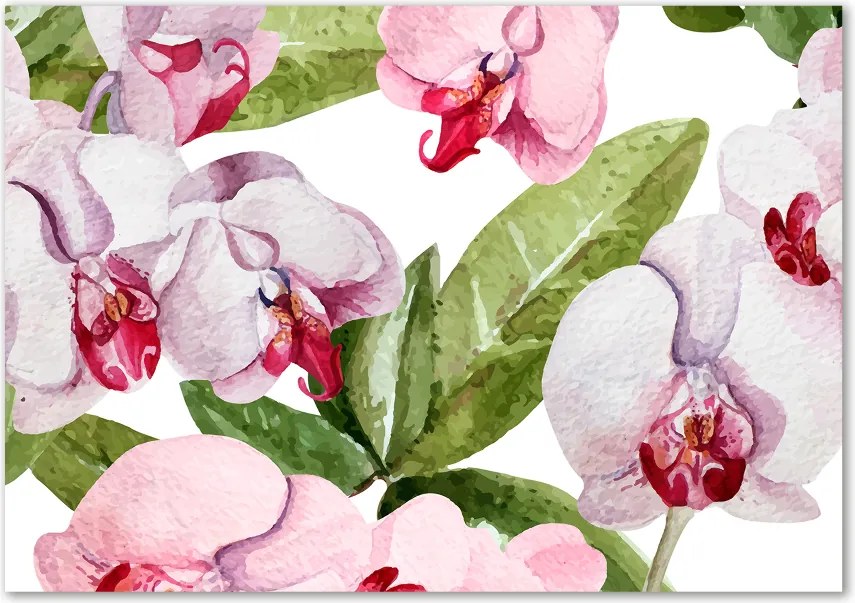 Obraz zdjęcie szkło akryl Różowe orchidee