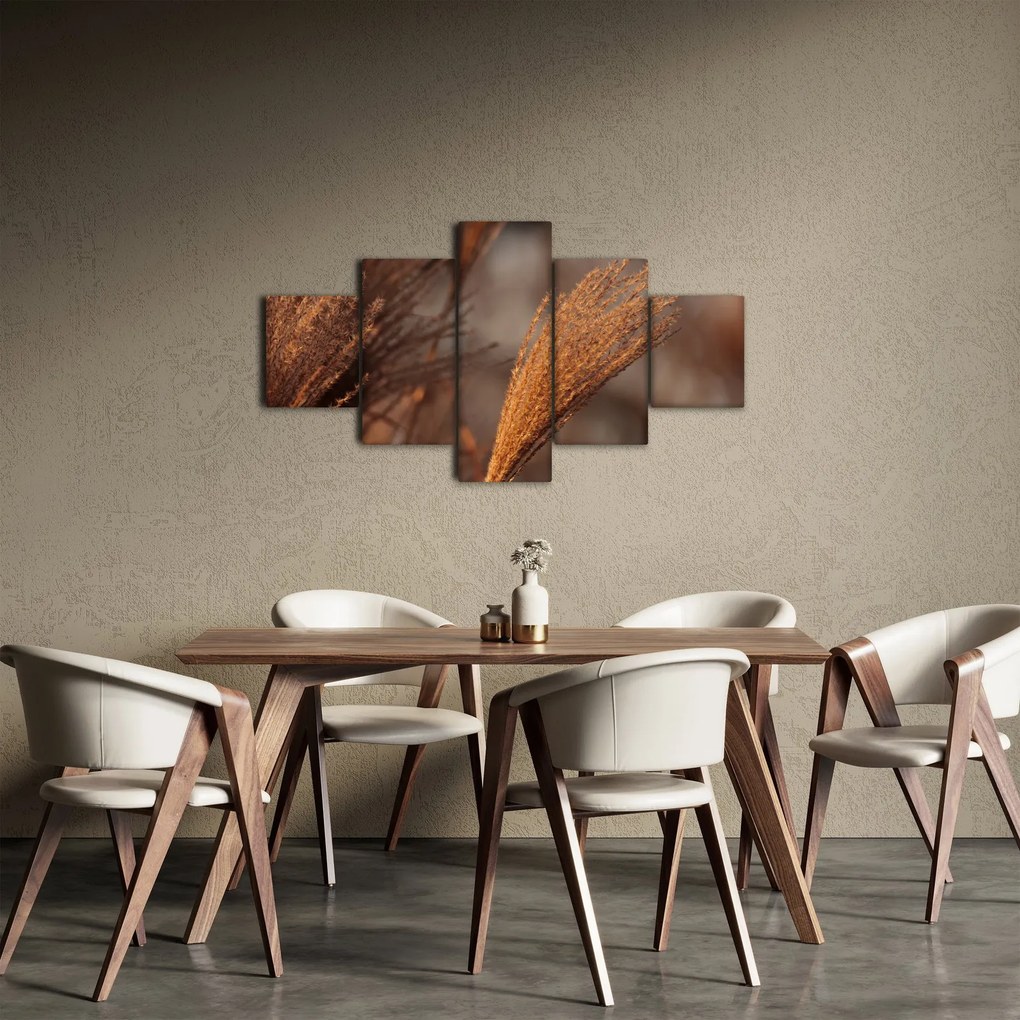 Obraz - Kortaderia (125x70 cm)