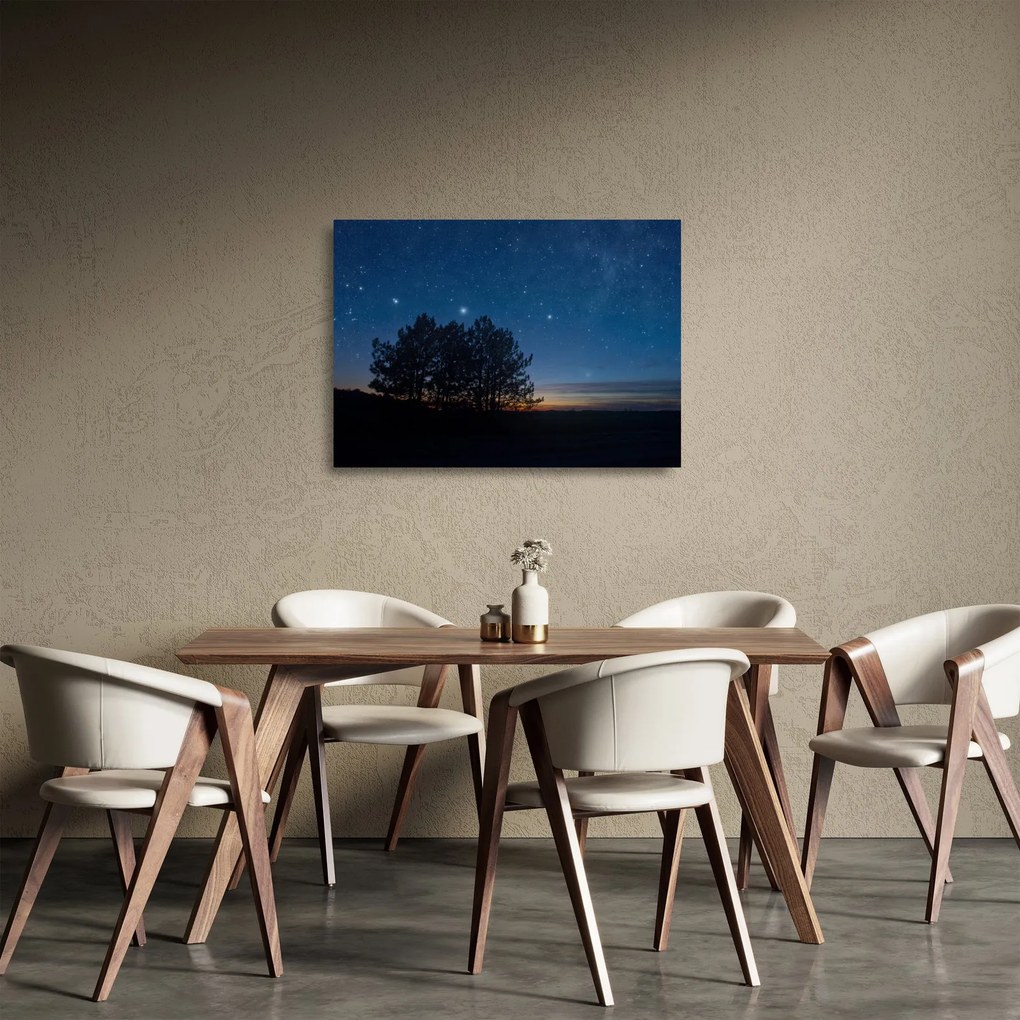 Obraz na szkle drzew w nocy (70x50 cm)